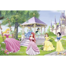 Puzzle printesele incantatoare 2x24 piese